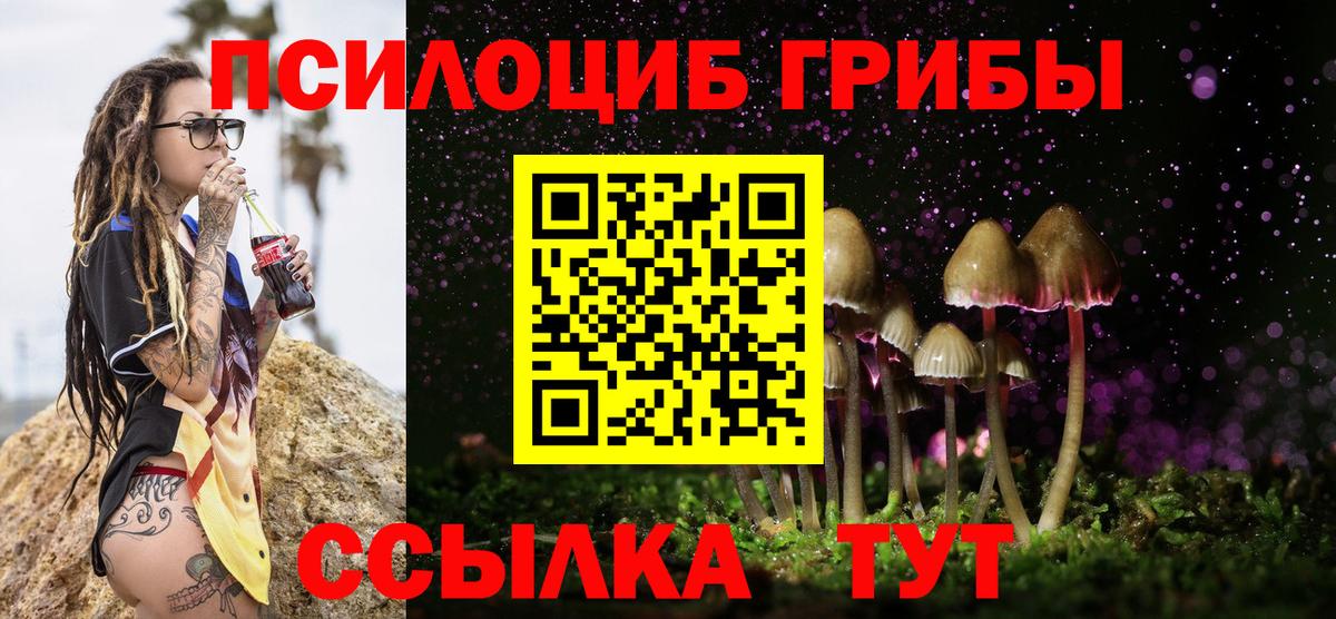 Галлюциногенные грибы Psilocybine cubensis  Вход с VPN  Галлюциногенные грибы GOLDEN TEACHER  Махачкала 